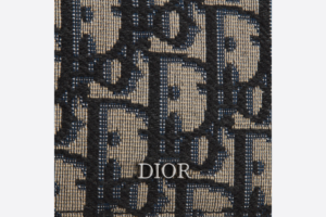 Vi Dior Card Holder 'Beige and Black Dior Oblique' 2ESCH135YSE-H05E
