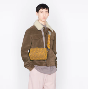 Tui Dior Lingot 22 Bag Gold Tone 1ADPO249YKY-H20E