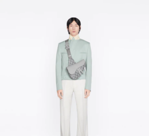 Tui Dior Saddle Bag 'Gray CD Diamond Canvas' 1ADPO093CDP-H42E