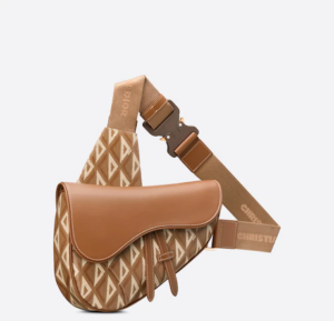 Tui Dior Saddle Bag Coffee CD Canvas 1ADPO093CDP-H24E