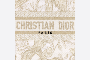 Tui Dior Book Tote Phone Bag Mini 'Gold-Tone Metallic' S5555CRZF-M981