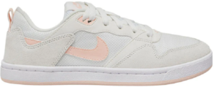 Giày Nike SB Alleyoop 'Pink' CQ0369-101