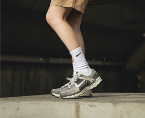 Giay Nike Zoom Vomero 5 'Cobblestone Flat Pewter' FB8825-001