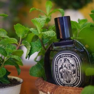 Alternative view of Nước Hoa Diptyque Eau De Minthe EDP
