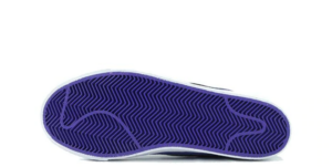 Giay Nike SB Blazer 'Varsity Purple' 314070-501