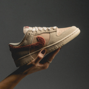 Giay Nike Dunk Low 'Terry Swoosh' DZ4706-200