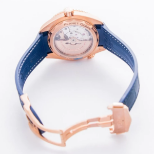 Alternative view of Đồng Hồ Omega Seamaster 'Ocean Gold' 215-63-44-21-03-001