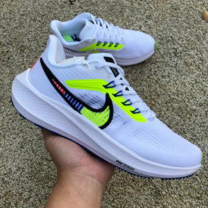 Giay Nike Pegasus 39 'Summit White Blue' DX1627-100