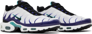Giay Nike Air Max Plus 'Grape' DM0032-100