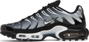Giay Nike Air Max Plus 'Black Metallic Silver' DM0032-003