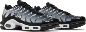 Giay Nike Air Max Plus 'Black Metallic Silver' DM0032-003
