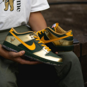 Giay Nike SB Dunk Low 'Doernbecher 2018' BV8740-377