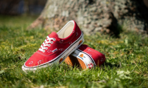 Alternative view of Giày Vans OG Era LX "Paisley" Unisex Zapatos Rojas VN0A4BVAXE51