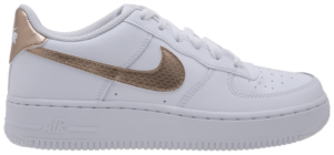 Giày Nike Air Force 1 Low EP GS 'White Blur' AV5047-100