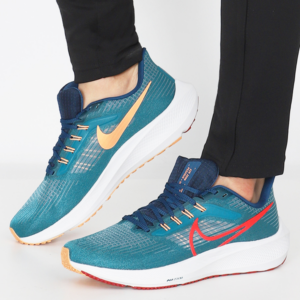 Giay Nike Air Zoom Pegasus 39 'Spruce Crimson' DH4071-302