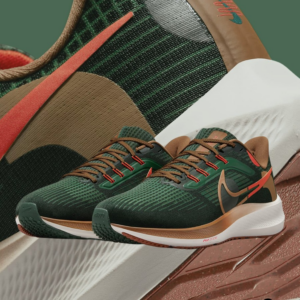 Giay Nike Air Zoom Pegasus 39 'A.I.R. Hola Lou' DO9500-300