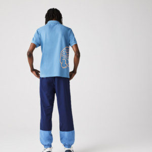 Ao Lacoste Cotton Pique Polo Shirt PH9739-776