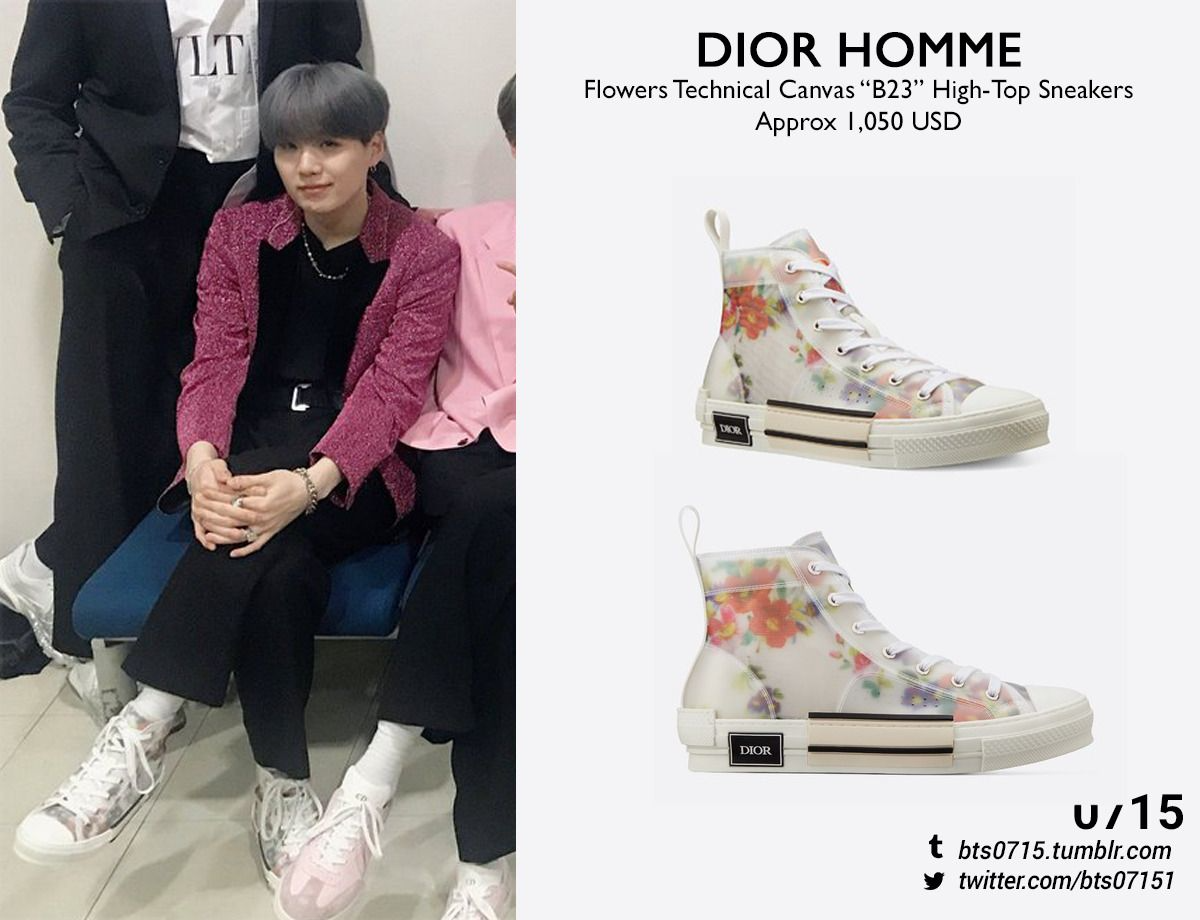 Dior Homme B23 LowTop Sneakers in Oblique Technical Canvas DiorSummer19   YouTube
