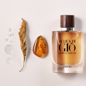 Nuoc Hoa Giorgio Armani Acqua Di Gio Absolu