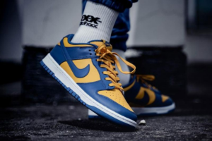 Giay Nike Dunk Low Retro 'UCLA' DD1391-402