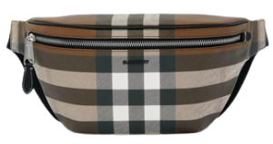 Túi Burberry Check and Leather Bum Bag 'Dark Birch Brown' p80528061