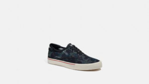Giay Coach Skate Lace Up Mesh 'Wildbeast' CA277-R54