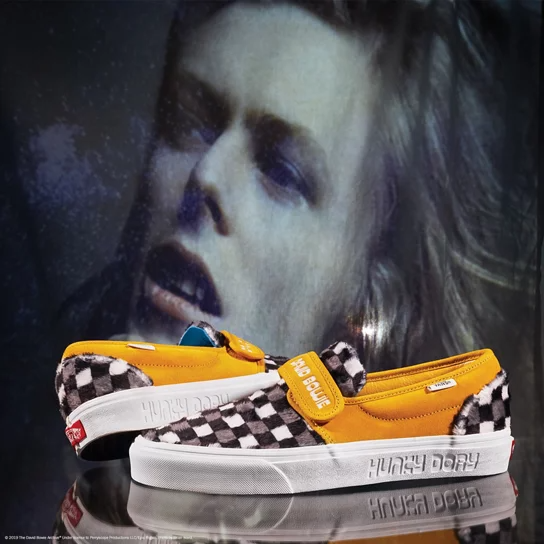 Hunky sales dory vans