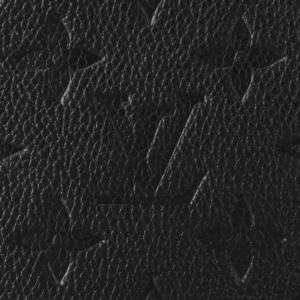 Tui Louis Vuitton Easy Pouch On Strap 'Black' M80349