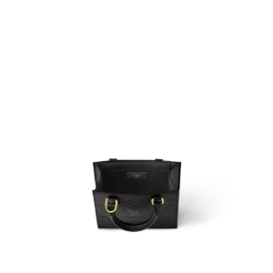 Tui Louis Vuitton Petit Sac Plat Bag 'Black' M81417