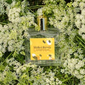 Alternative view of Nước Hoa Miller Harris Dance Amongst The Lace EDP