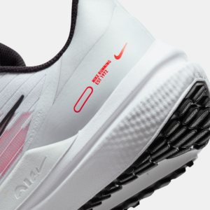 Giay Nike Air Winflo 9 'Photon Dust Red' DD6203-009