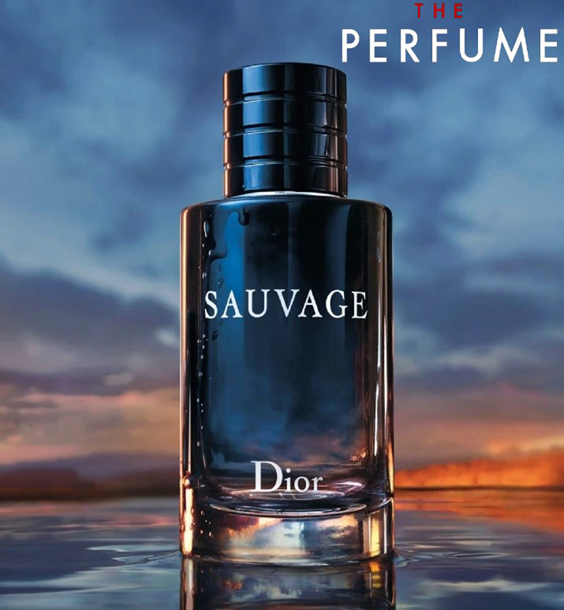 Dior Sauvage 60ml  Dior Sauvage Aftershave for Men  The Fragrance Shop