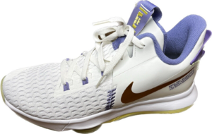 Giay Nike LeBron Witness 5 'Summit White Metallic Bronze' CQ9380-102