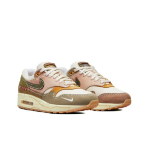 Giay Nike Air Max 1 Premium 'Wabi Sabi' DQ8656-133