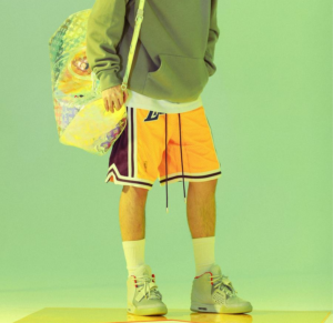 Giay Nike Air Yeezy 2 'Pure Platinum' 508214-010