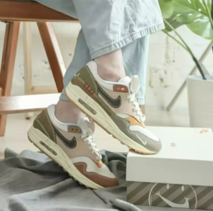 Giày Nike Air Max 1 Premium 'Wabi Sabi' Dq8656-133