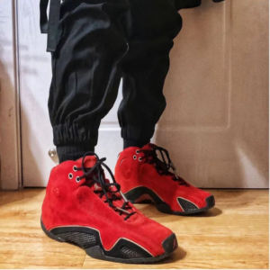 Giay Nike Air Jordan 21 OG 'Red Suede' 313495-602