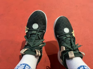 Giay Adidas Harden Vol. 6 'Green Oxide Monogram' GW9032
