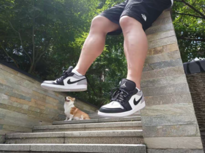 Giay Nike Air Jordan 1 Retro Low 'Atmosphere' 553558-110