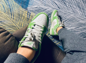 Giay Nike Dunk Low 'Safari Swoosh Chlorophyll' DR0156-300