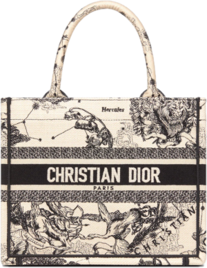 Tui Dior Book Tote Small 'Latte Toile Zodiac' M1265ZRHZ-M941