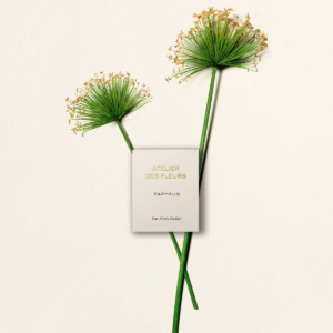 Alternative view of Nước Hoa Chloe Atelier Des Fleurs Papyrus EDP