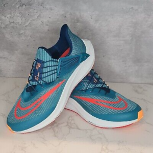 Giay Nike Air Zoom Pegasus 39 Flyease 'Valerian Blue' DJ7381-300