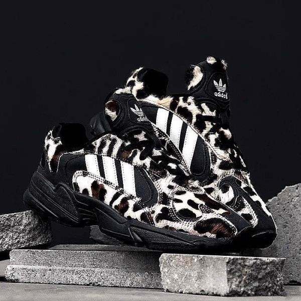 tro-ve-the-gioi-dong-vat-hoang-da-cung-adidas-yung-1