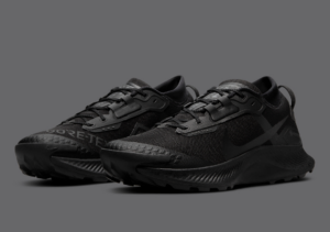 Giay Nike Pegasus Trail 3 Gore-Tex 'Triple Black' DC8794-001