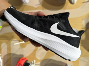 Giay Nike Air Zoom Pegasus 39 FlyEase 'Black White' DJ7382-001