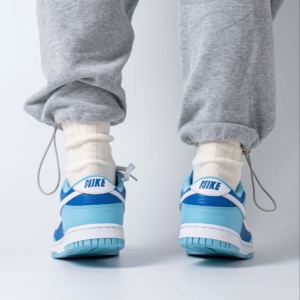 Giay Nike Dunk Low Retro QS 2022 'Argon' DM0121-400