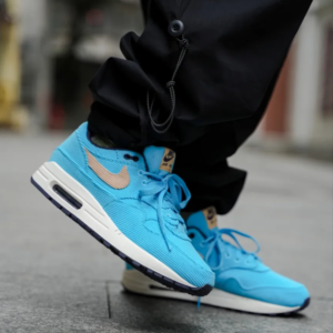 Giay Nike Air Max 1 Premium 'Corduroy' FB8915-400