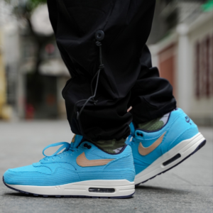 Giay Nike Air Max 1 Premium 'Corduroy' FB8915-400