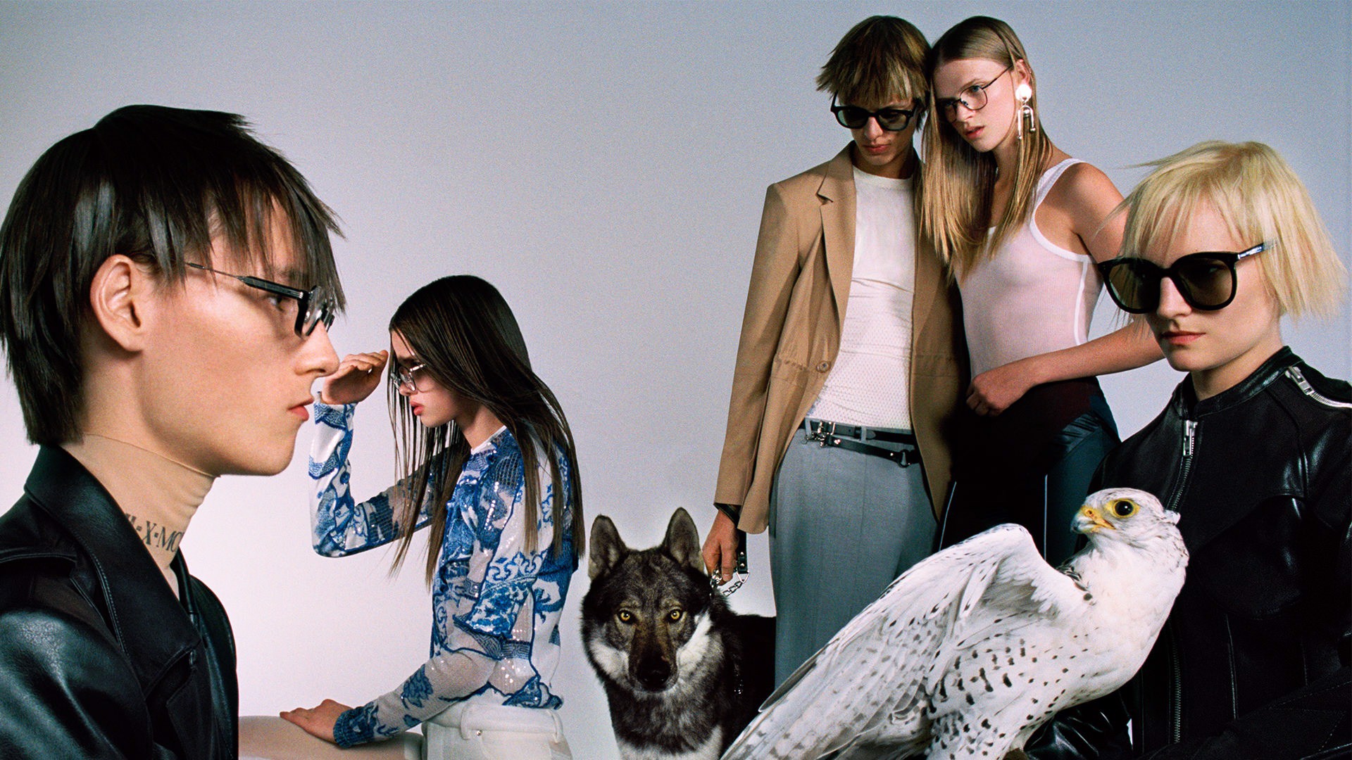 nhung-loi-khuyen-cho-ban-truoc-khi-mua-kinh-gentle-monter